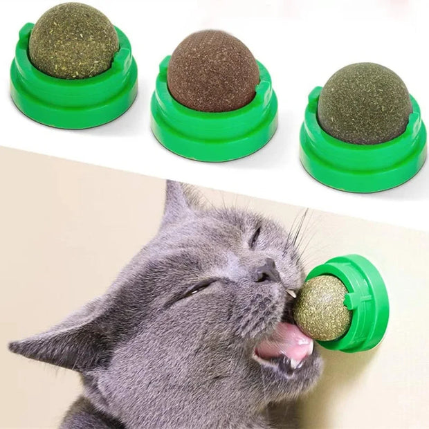 Catnip Balls für Katzen – Selbstklebendes Katzenminze Spielzeug gegen Langeweile