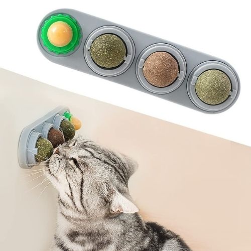 Catnip Wall Ball für Katzen – Selbstklebendes Katzenspielzeug mit Katzenminze
